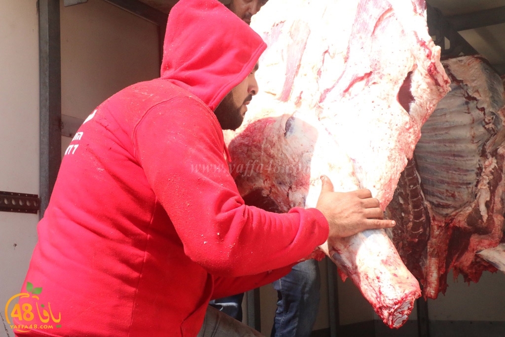 ada7y forthei (76).JPG